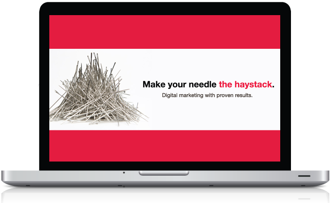 Website Optimization - Make Your Needle the Haystack